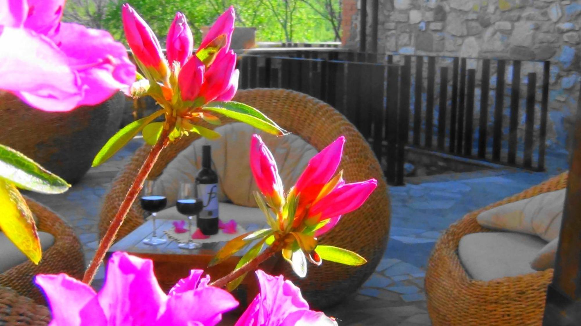 Fattoria Pianetti Guest House มันชาโน ภายนอก รูปภาพ